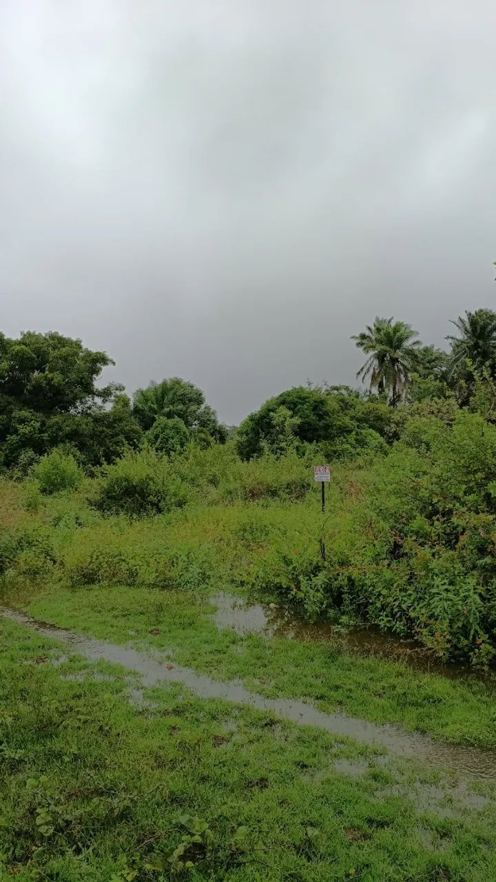 Terreno em Saubara/BA 160m²