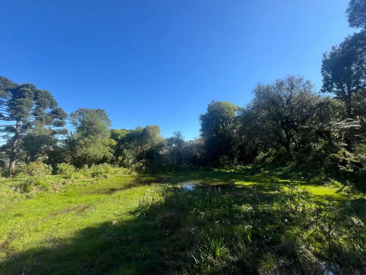 Chácara de 2 hectares em Painel/ SC - Foto 2