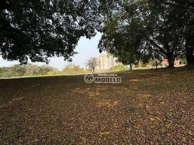 Terreno à venda, 3870 m² por R$ 1.550.000 - Dois Córregos - Piracicaba/SP - Foto 9