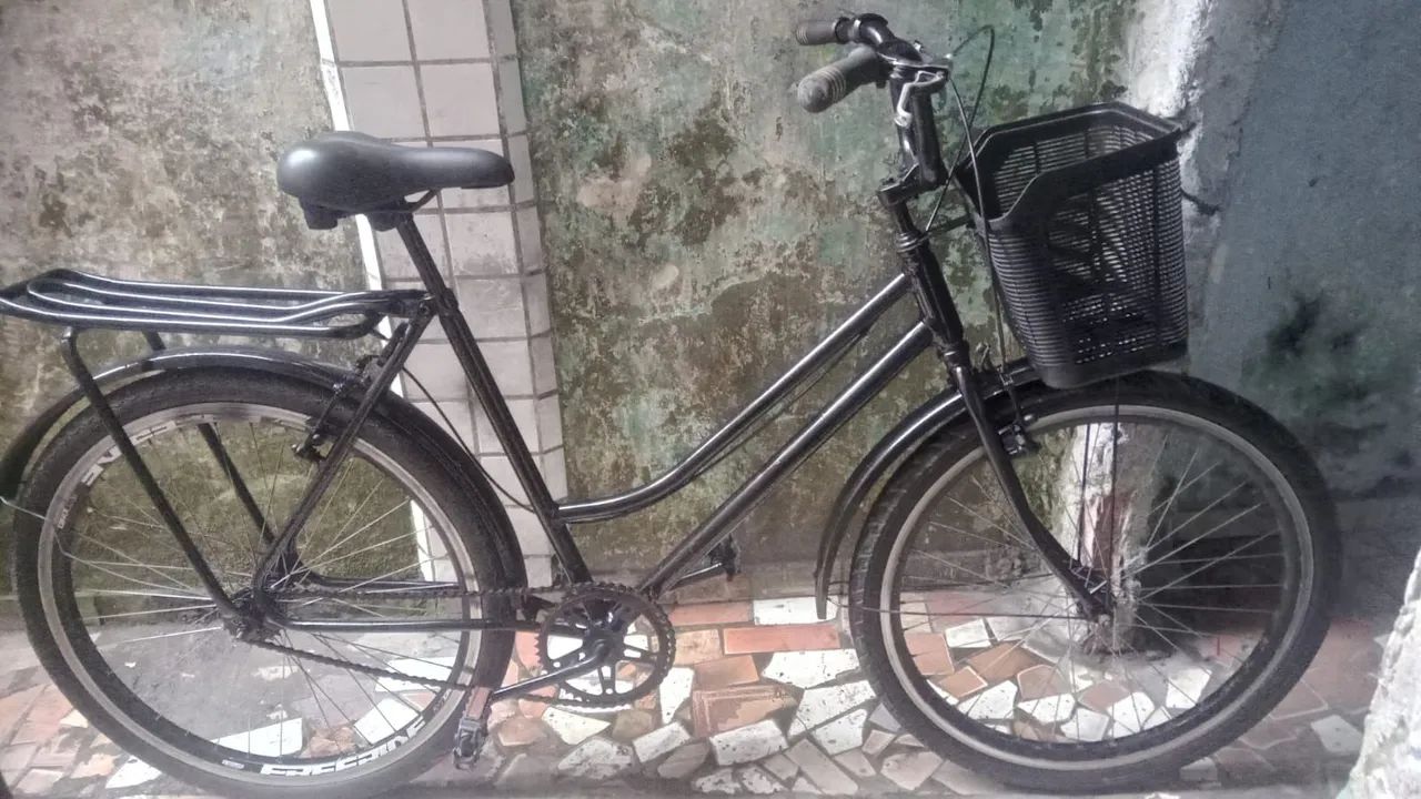 Bicicleta poti nova folha vemax
