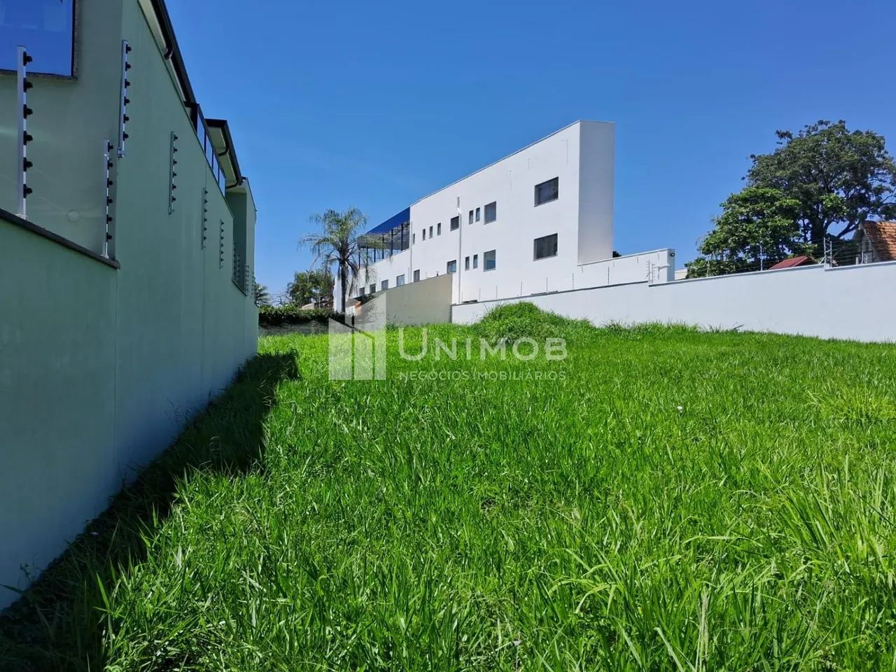 terreno - Nova Campinas - Campinas - Foto 3
