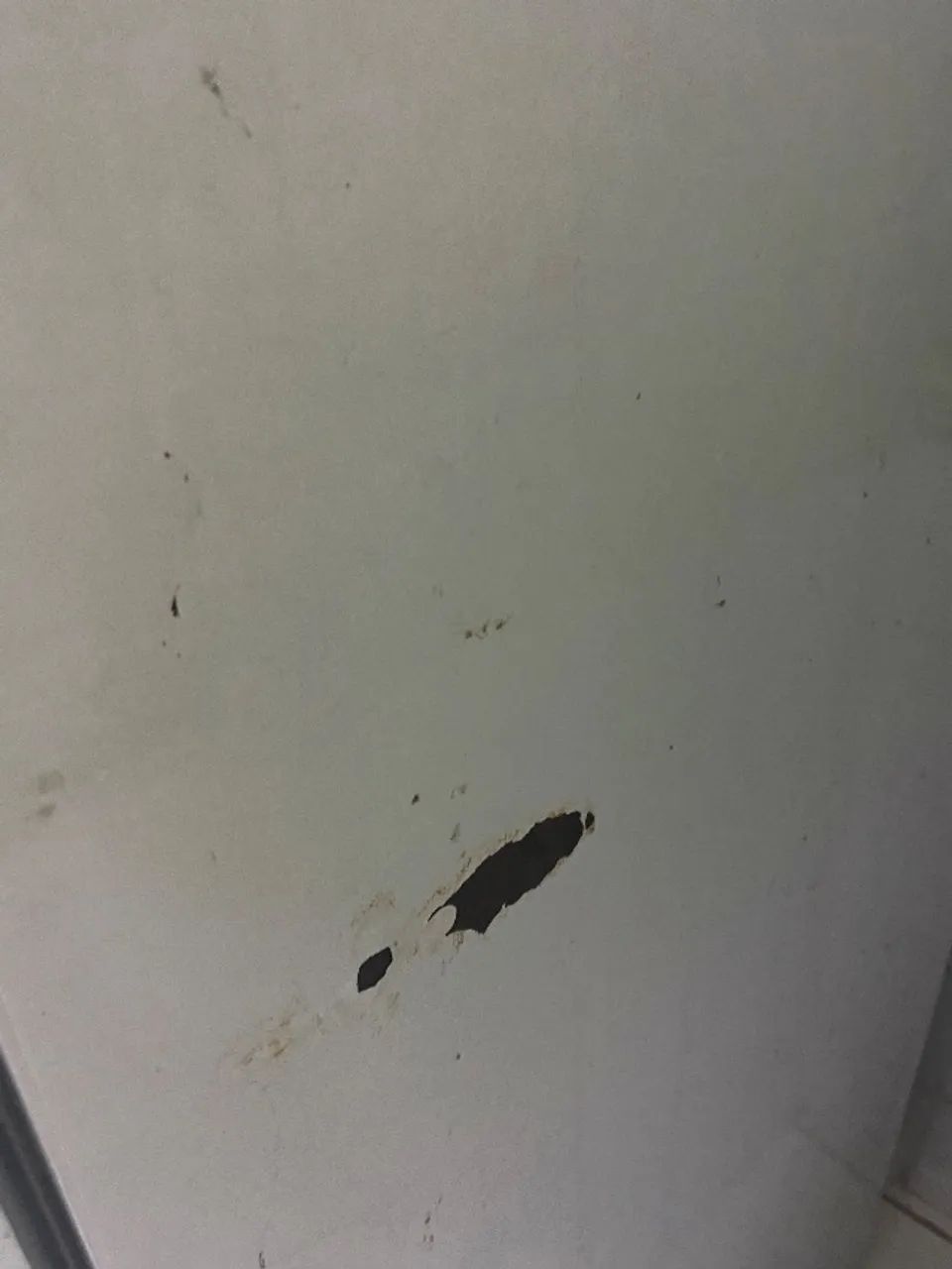 Electrolux DC44 - Foto 3