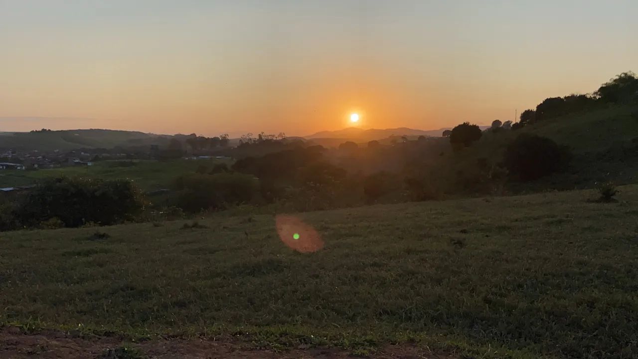 Sítio em Flexeiras 7 hectares, muitas fruteiras, 7 açudes já com peixes  - Foto 3