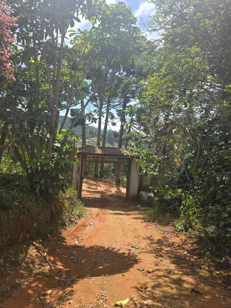 Chácara Sul de Minas  - Foto 2
