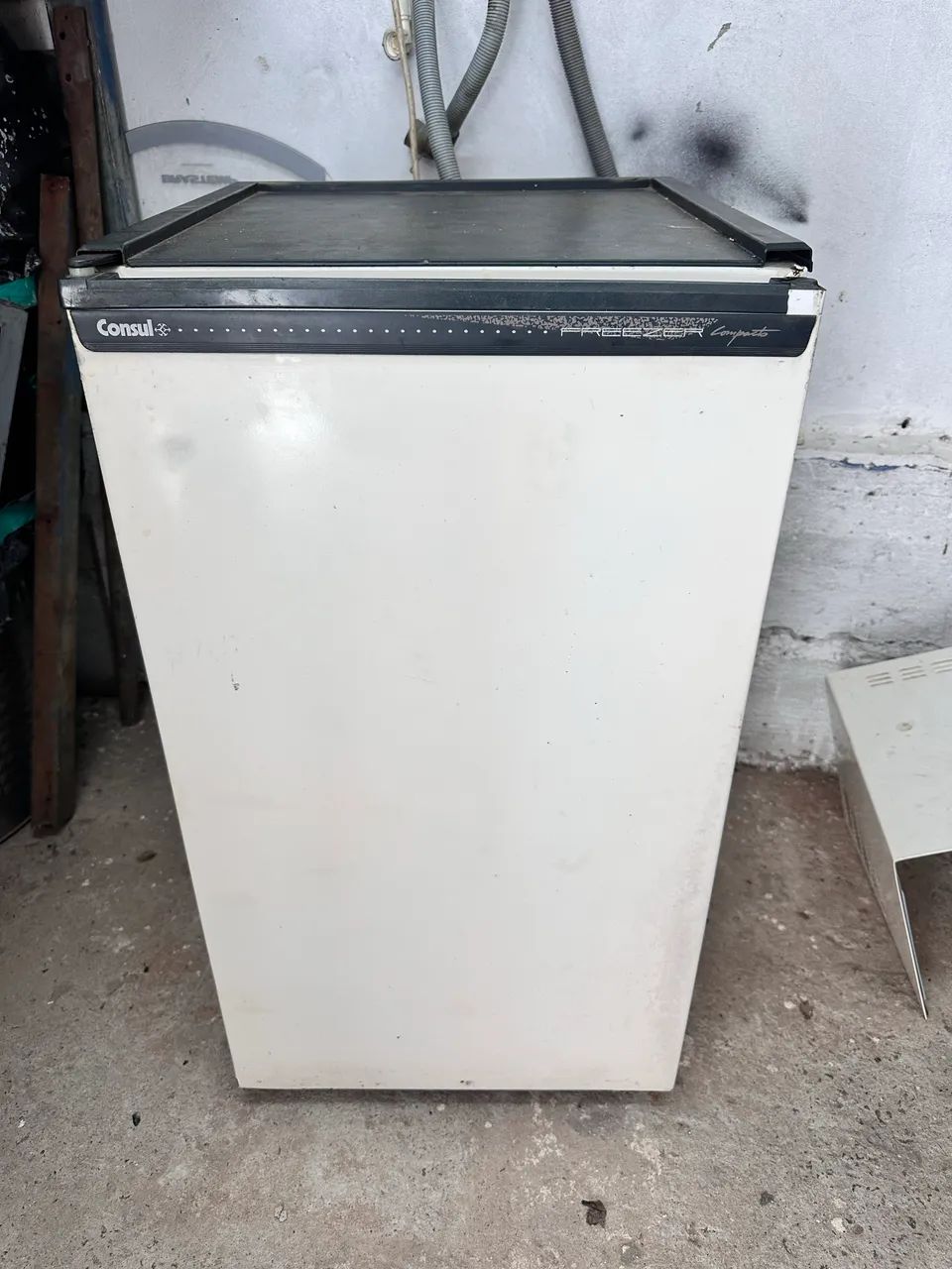 Freezer vertical