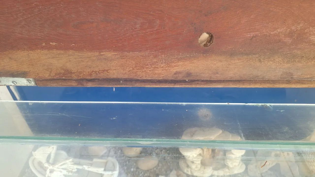 Aquário para peixes - Foto 3