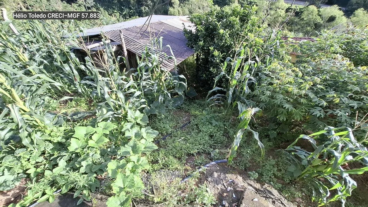Chacara com 280m² em Delfim Moreira-MG - Foto 5