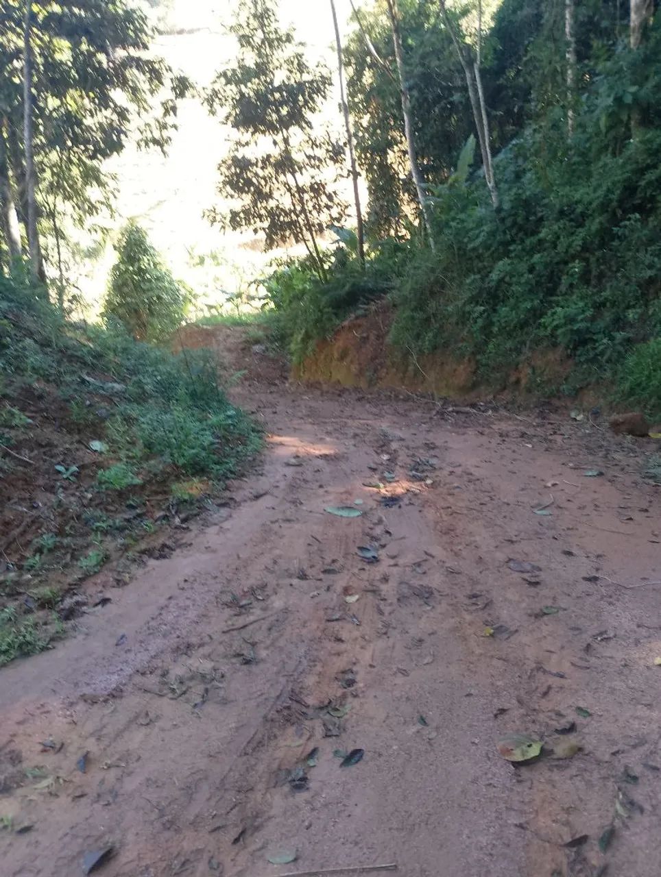 Sítio próximo a marechal floriano  - Foto 2