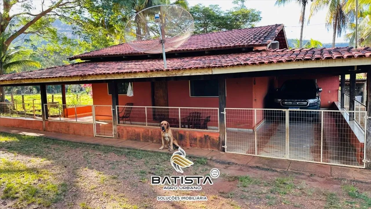 Fazenda 50 Alqueires, 36 km de Palmas - Foto 4