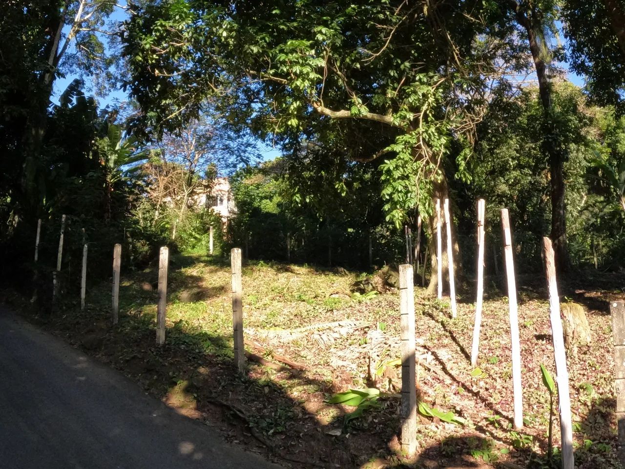 2 Terrenos a venda  - Foto 5
