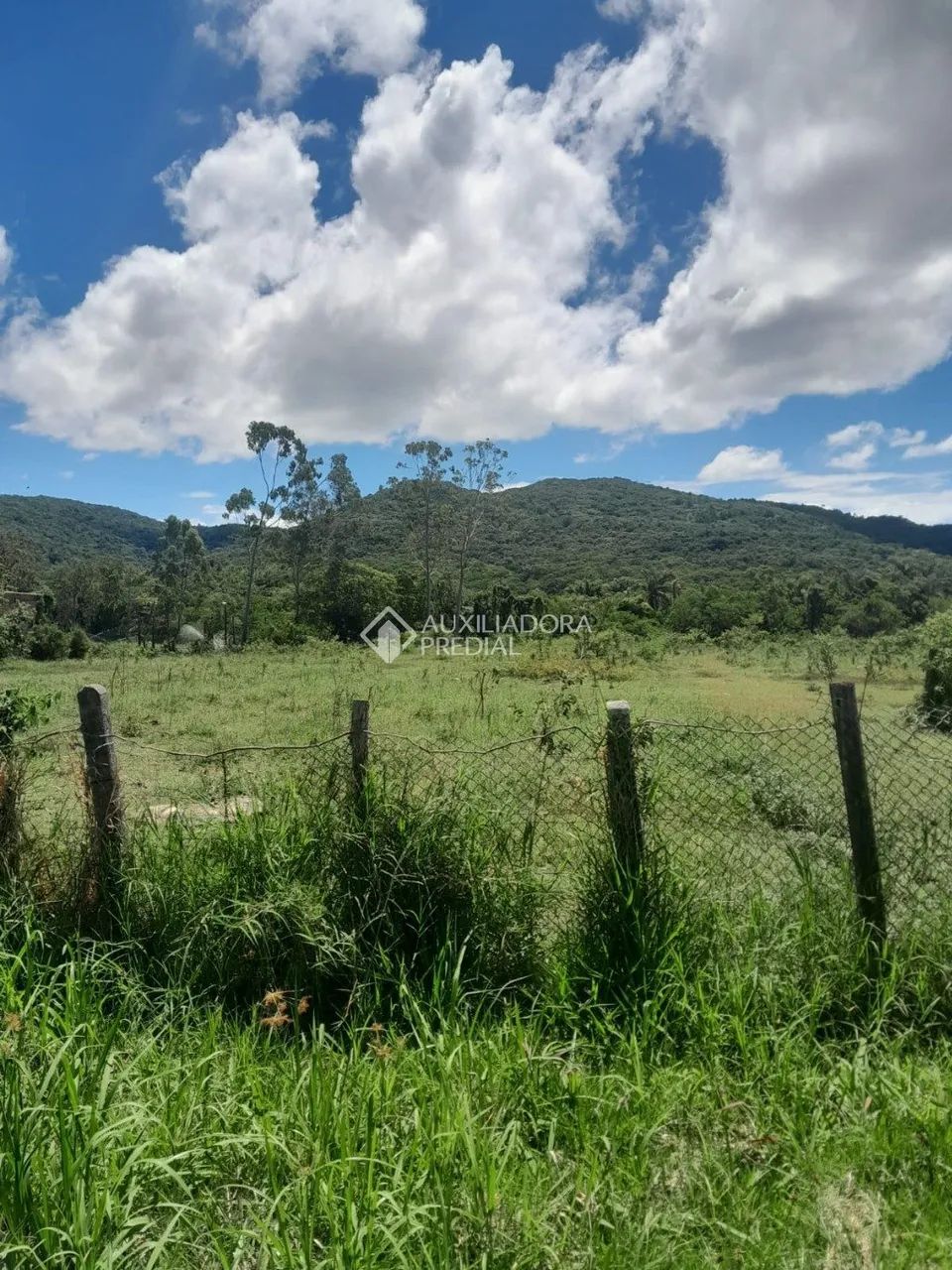 Sítio em Florianópolis ratones 5.280 m2 - Foto 2