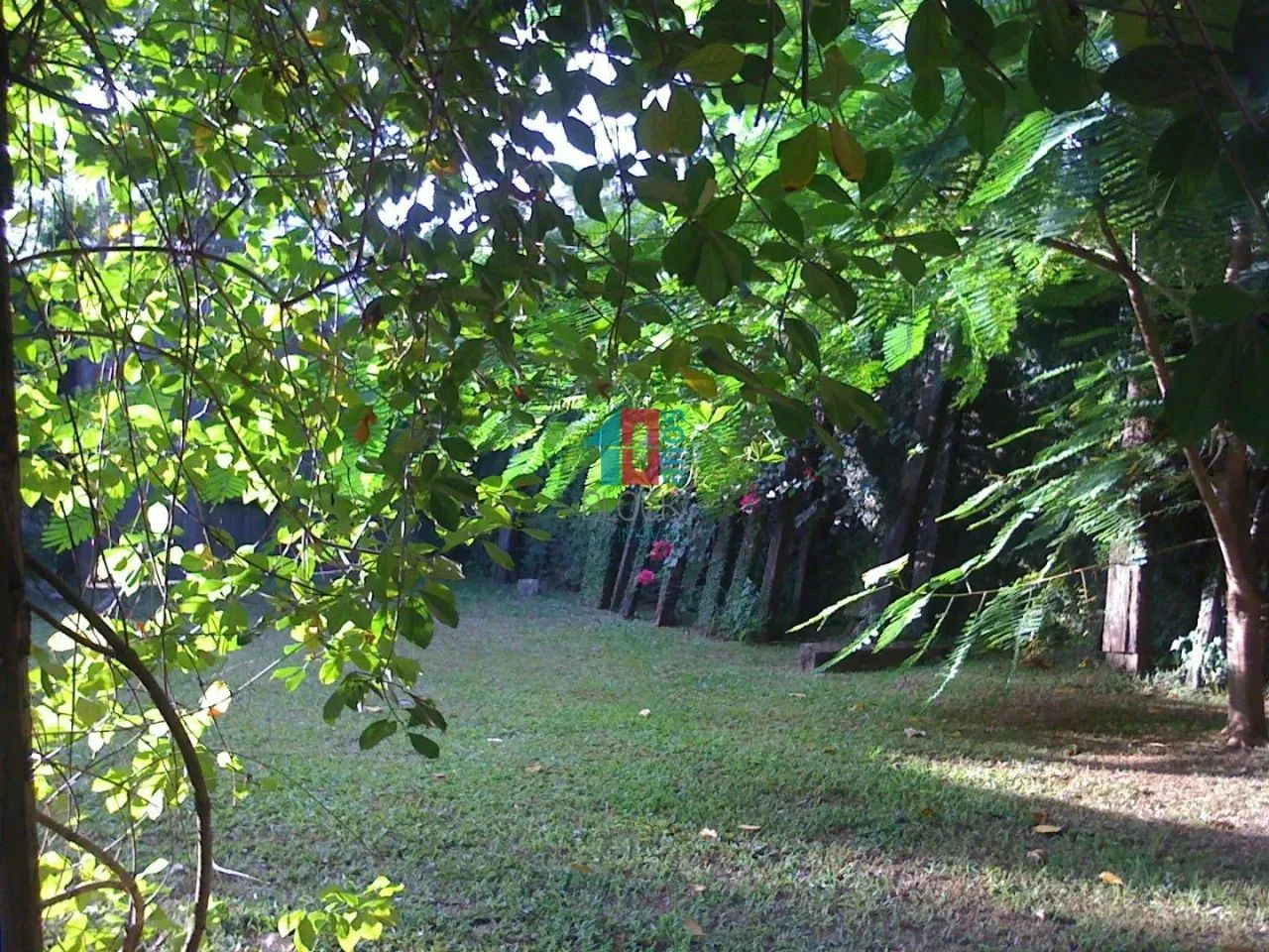 Vargem Grande | Terreno - Foto 5