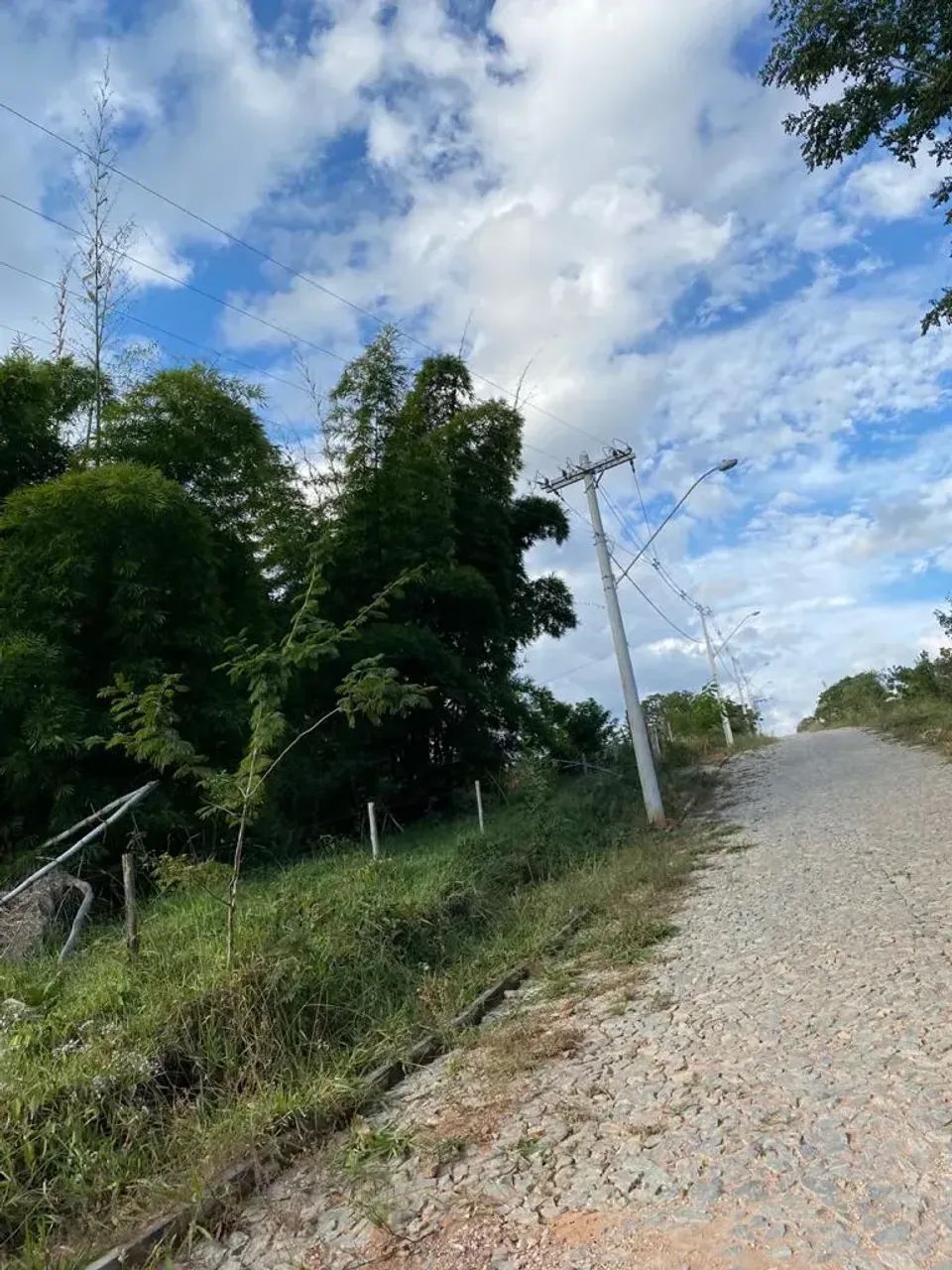 Chácara  5000 m2 em Conceição do Pará - MG - Foto 4