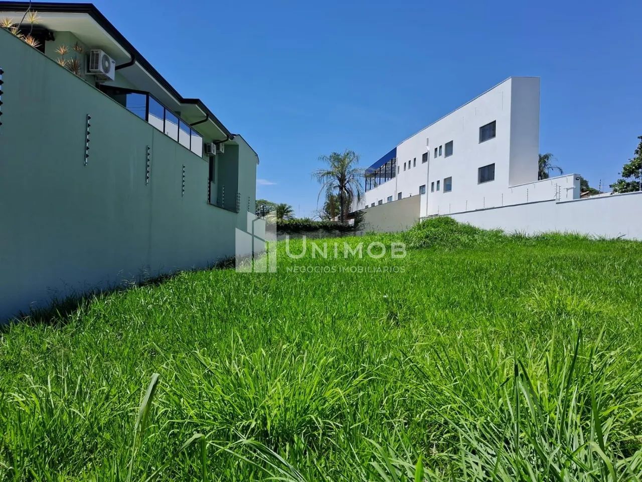 terreno - Nova Campinas - Campinas - Foto 4
