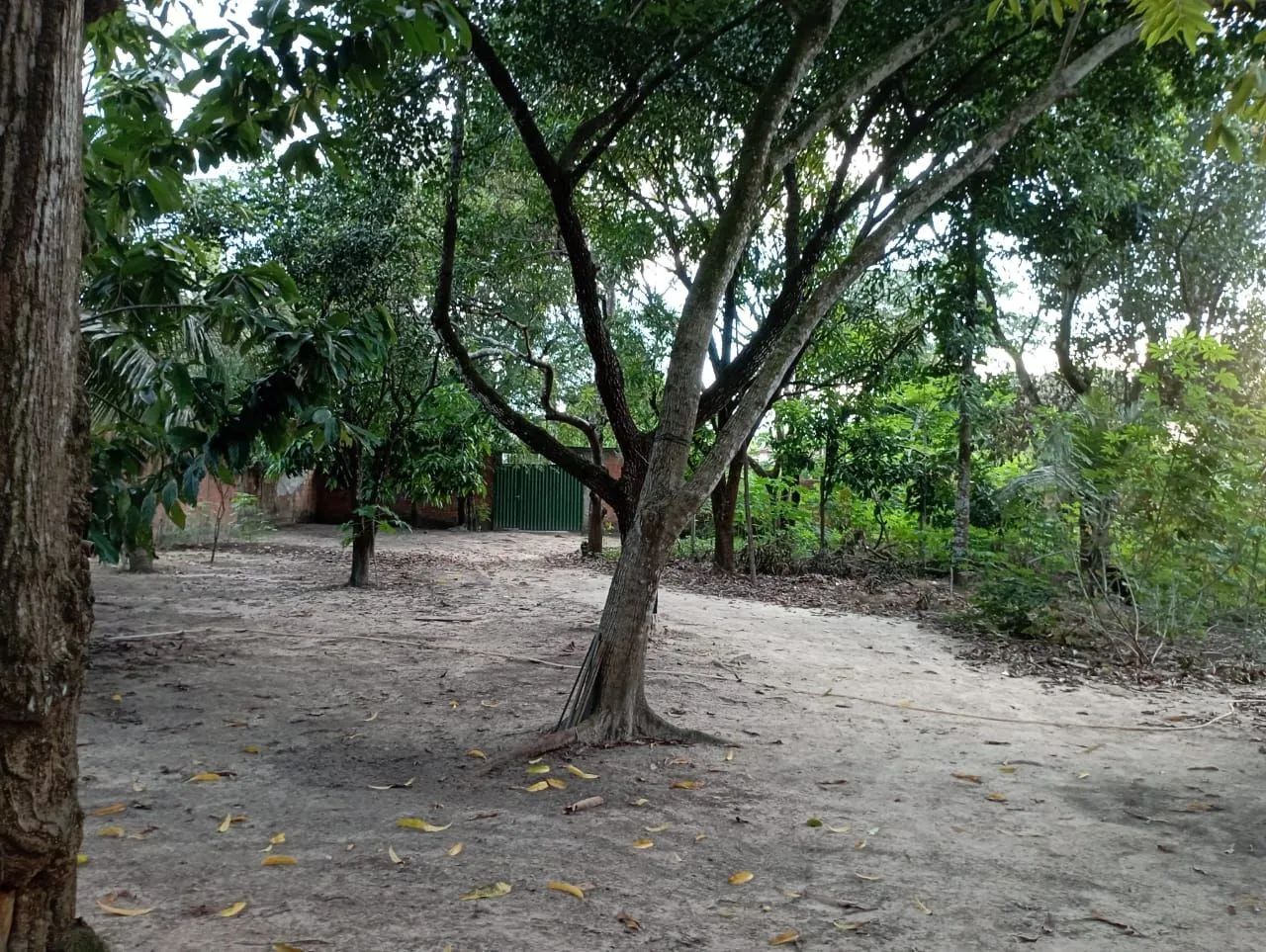 Vende sitio, casa sede todo arborizado - Foto 4