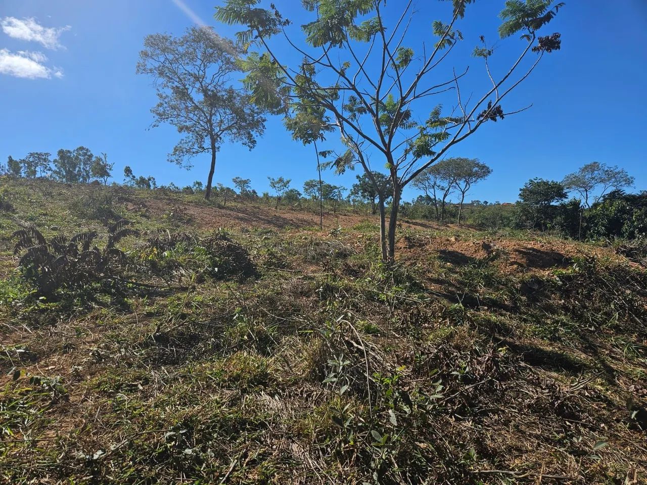 Vendo ou troco sítio em são José do Almeida - Foto 2