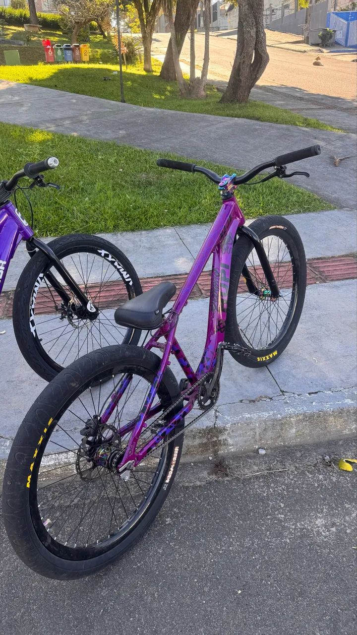 HUPI naja roxa 2025