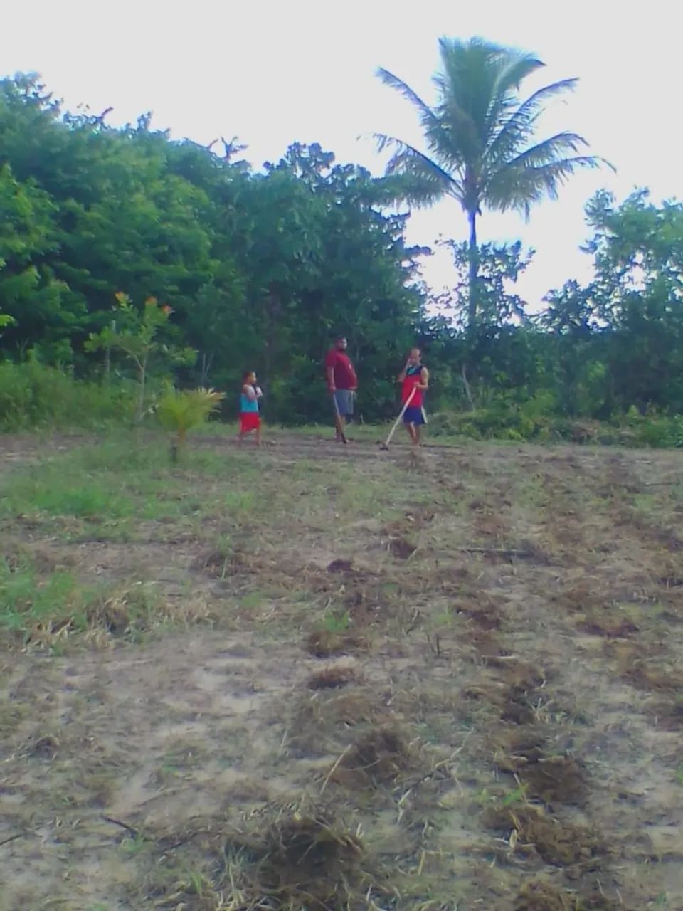 Térreo de 787,5 m² - Foto 2