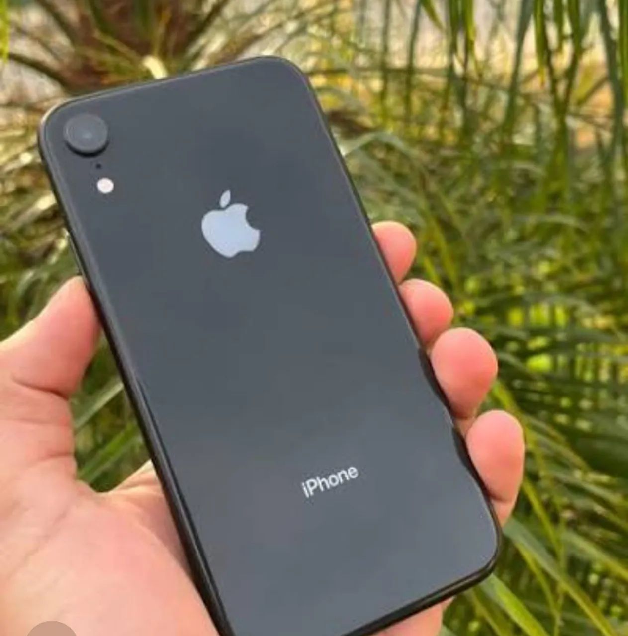 iPhone XR 