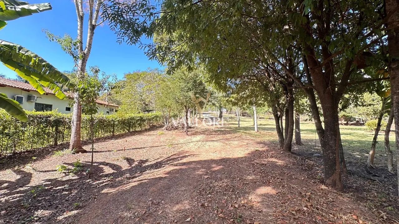 Ribeirão da Cachoeira - Chácara 7.158,89 m² com acesso ao Ribeirão - Condomínio  Nova Vene - Foto 9