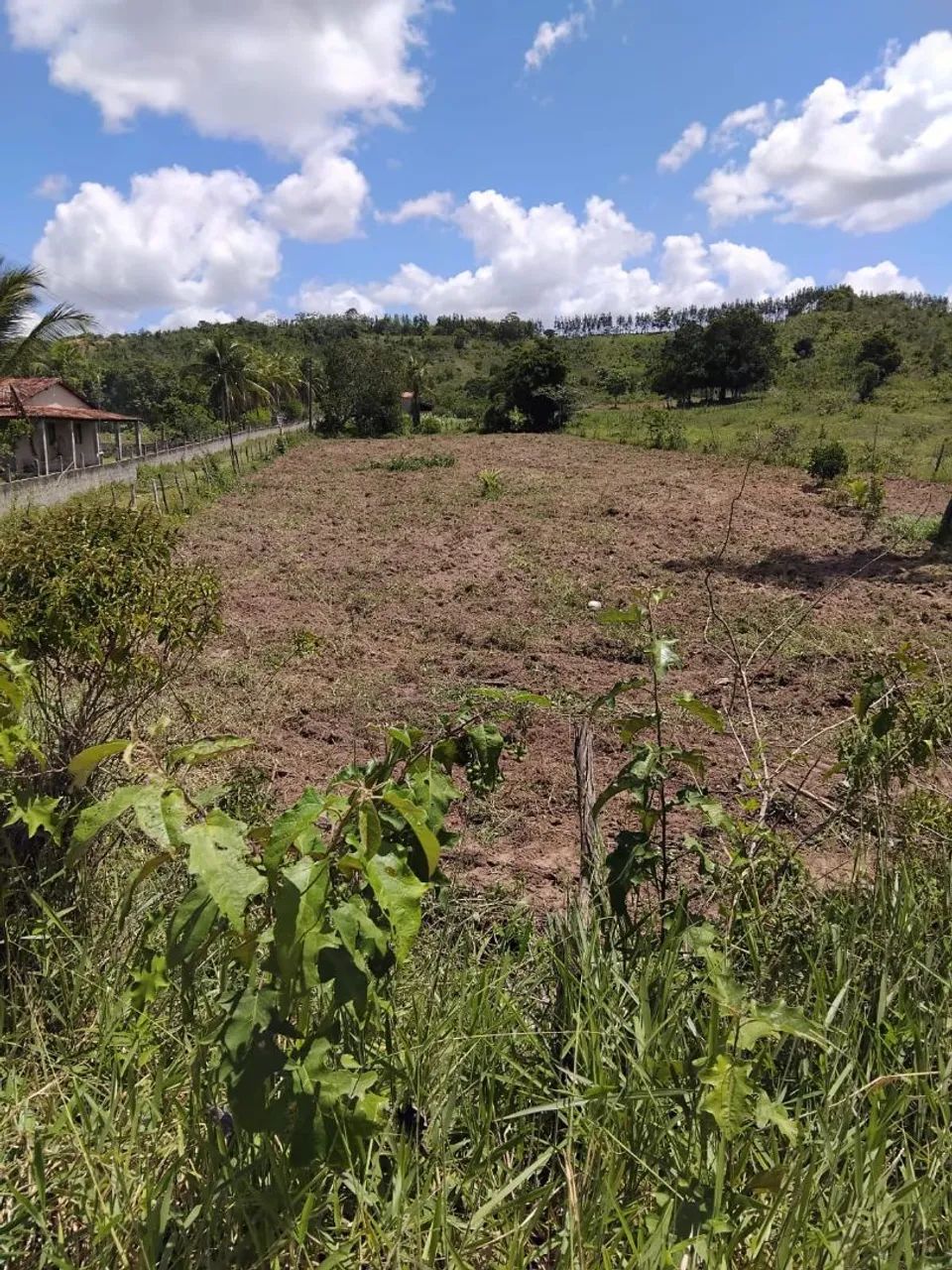 Terreno em Povoado Lagoão, Salgado em Sergipe 