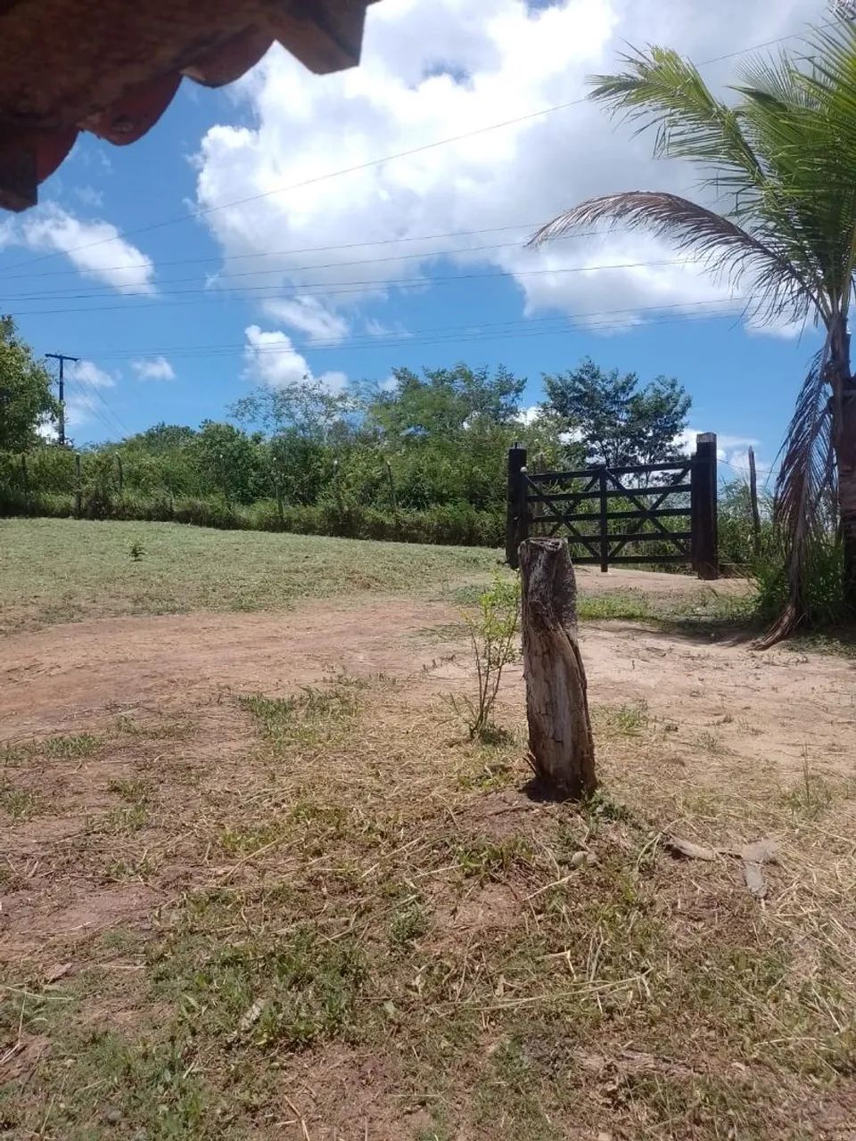 Vendo sitio - Foto 4