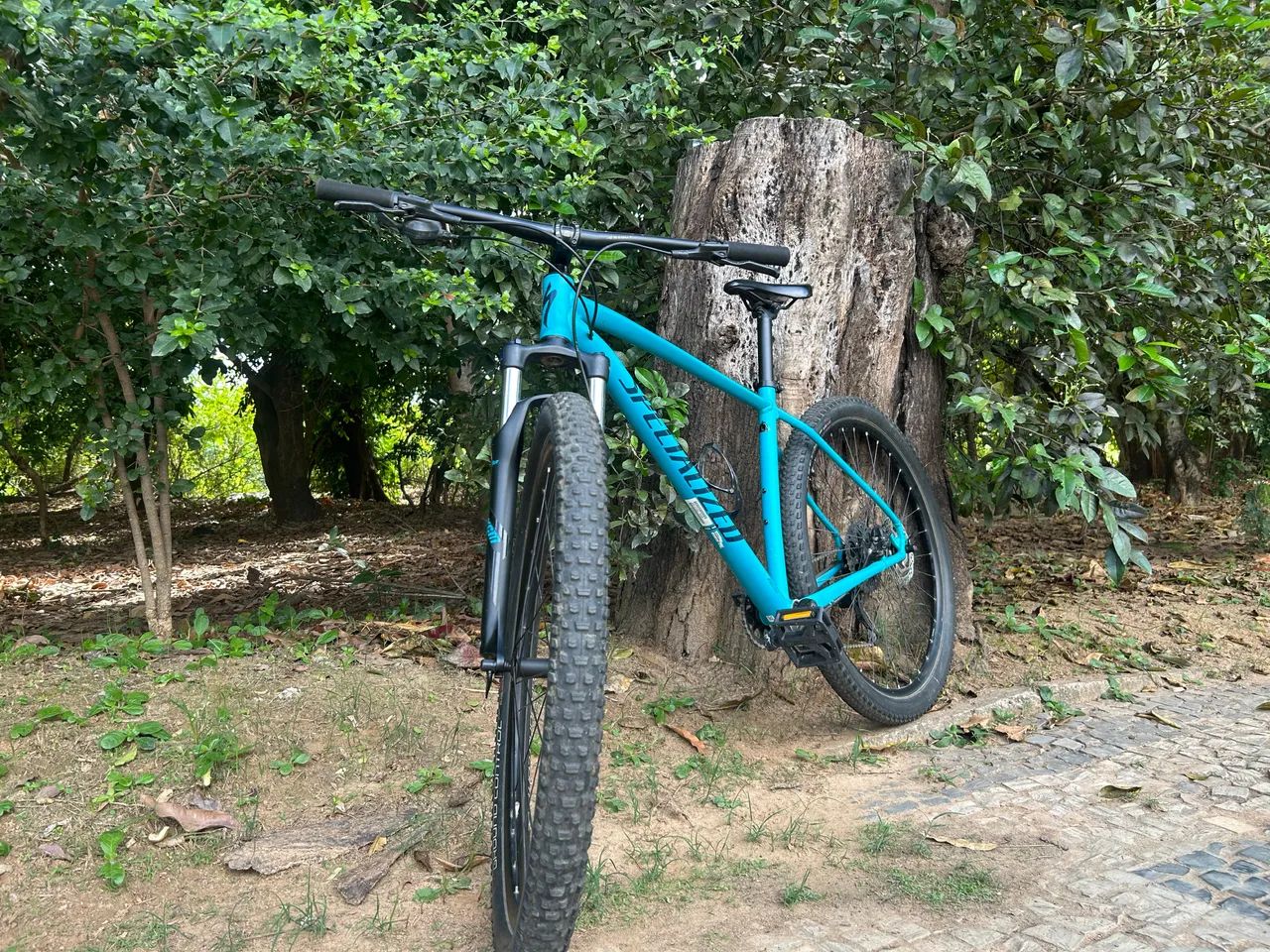     Specialized Rockhopper 2020 - Foto 2