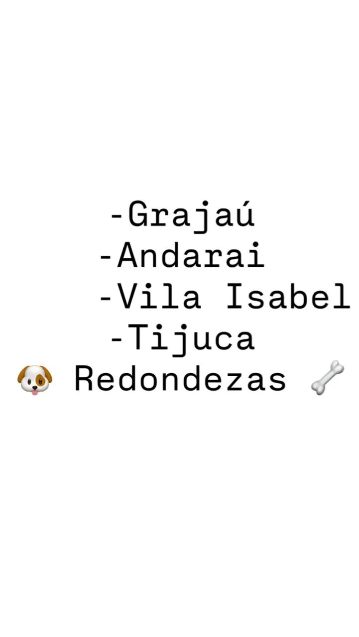 Passeador de cães  - Foto 2