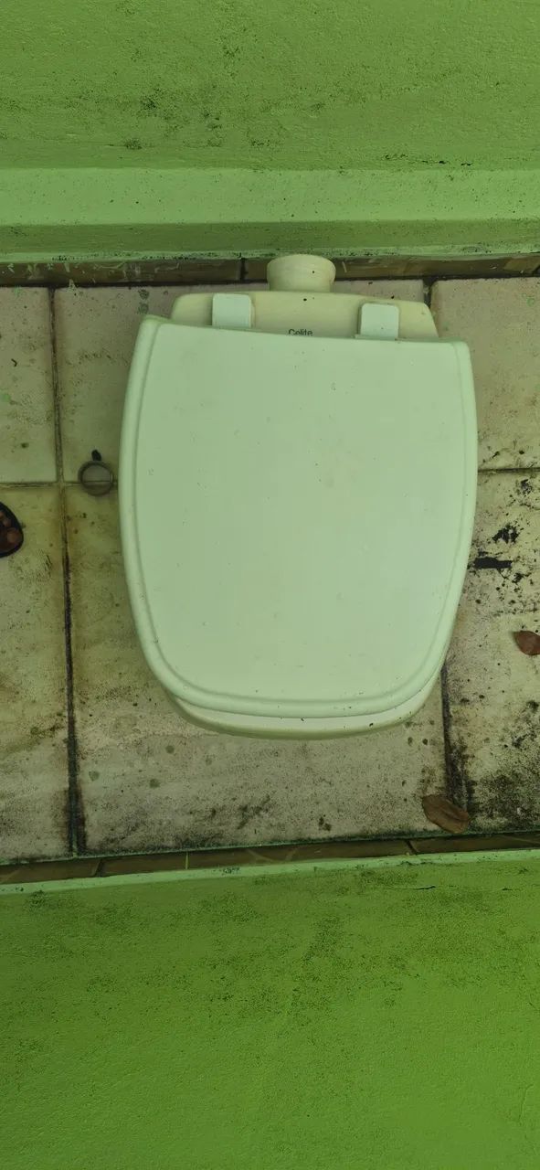 Vaso sanitário com assento - Foto 5