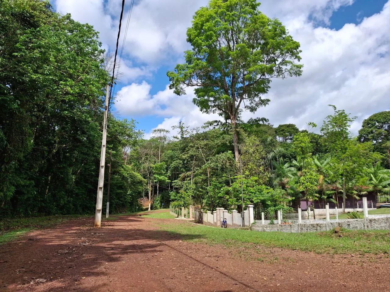 VENDO LOTE COND RURAL AMAZONFLORA- BENEVIDES/PA - Foto 4