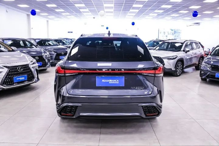 Lexus RX-500h F-sport 2.4 16V Aut. (híbrido), foto 7 de 20
