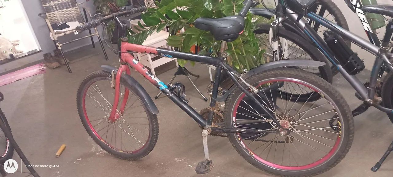 Bicleta caloi  - Foto 3