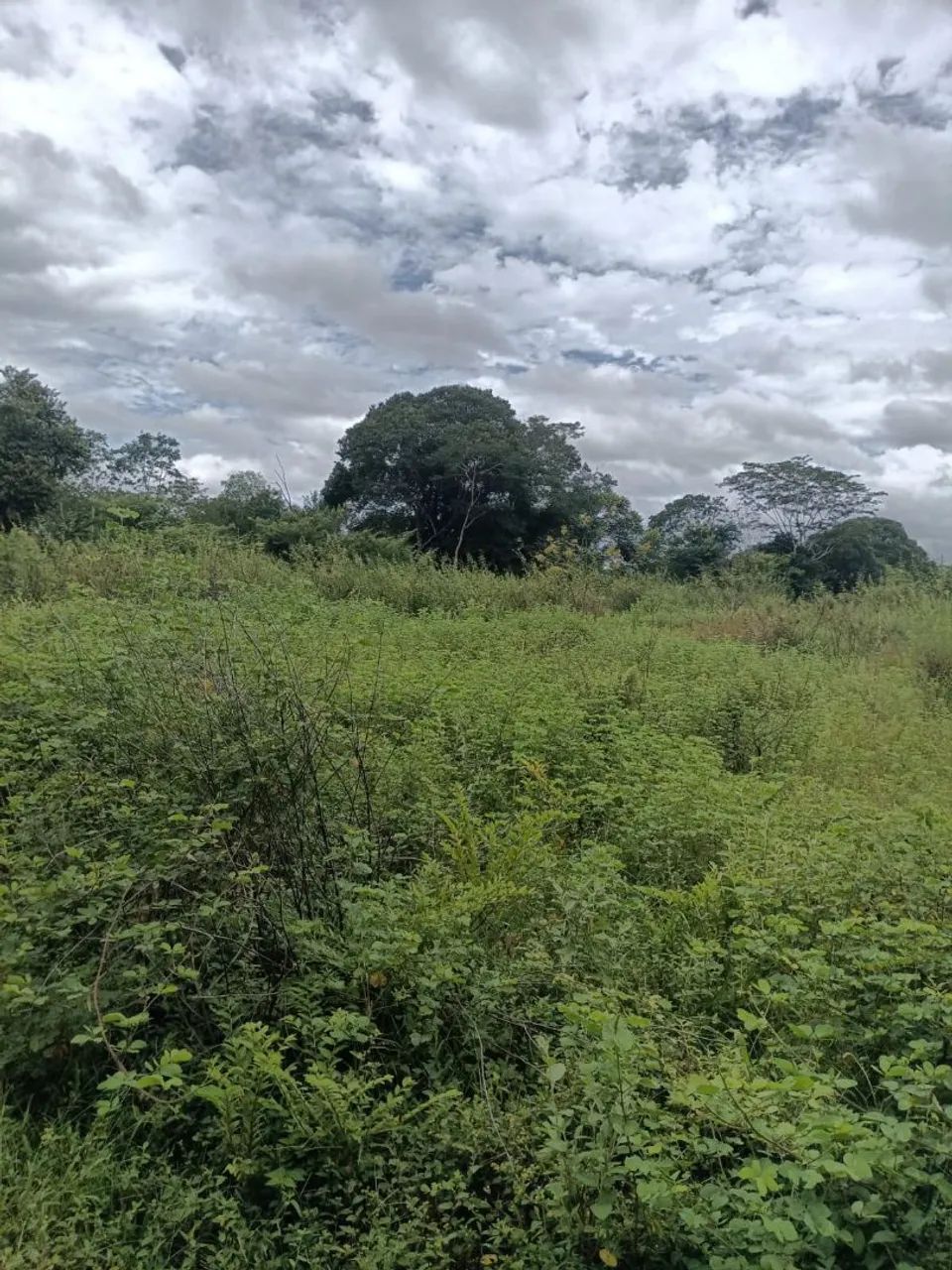 Próximo a arinos minas gerais  - Foto 4
