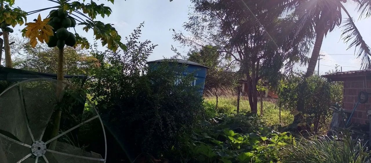 Granja Sucego Brejinho RN  - Foto 4