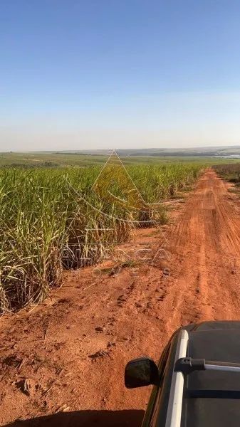 Fazenda - Bariri - Zona Rural - Foto 4