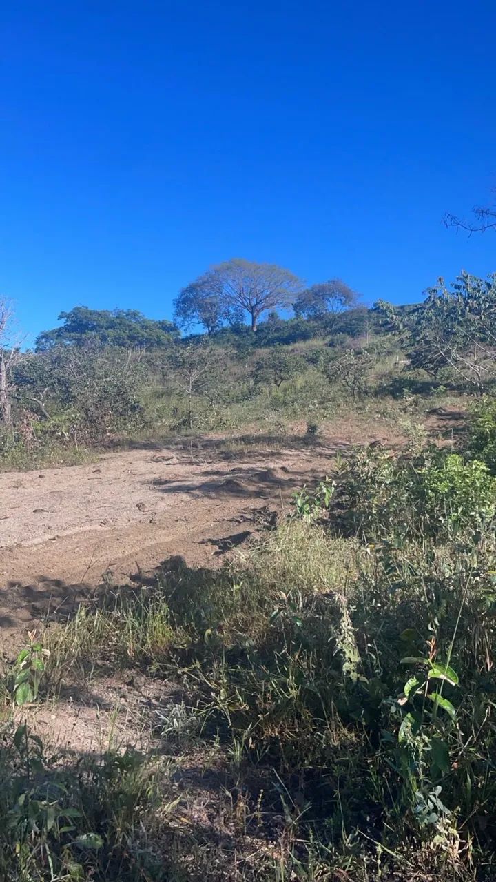 Mini chácaras Ribeirão das lajes  - Foto 4