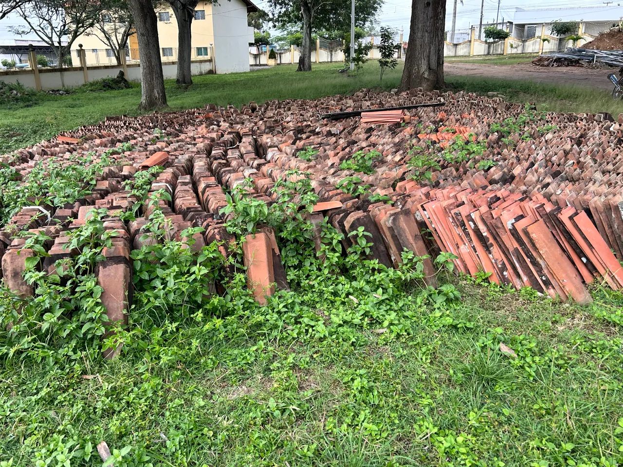 Telhas de cerâmica usada - Foto 3