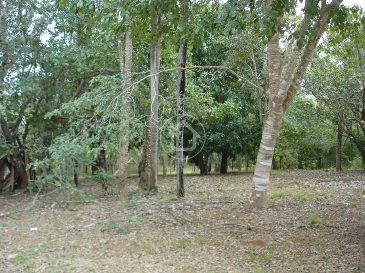 CHACARA RETIRO - Foto 2