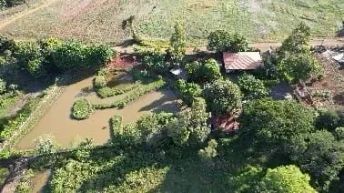 Chacara a venda em Jardim Alegre PR