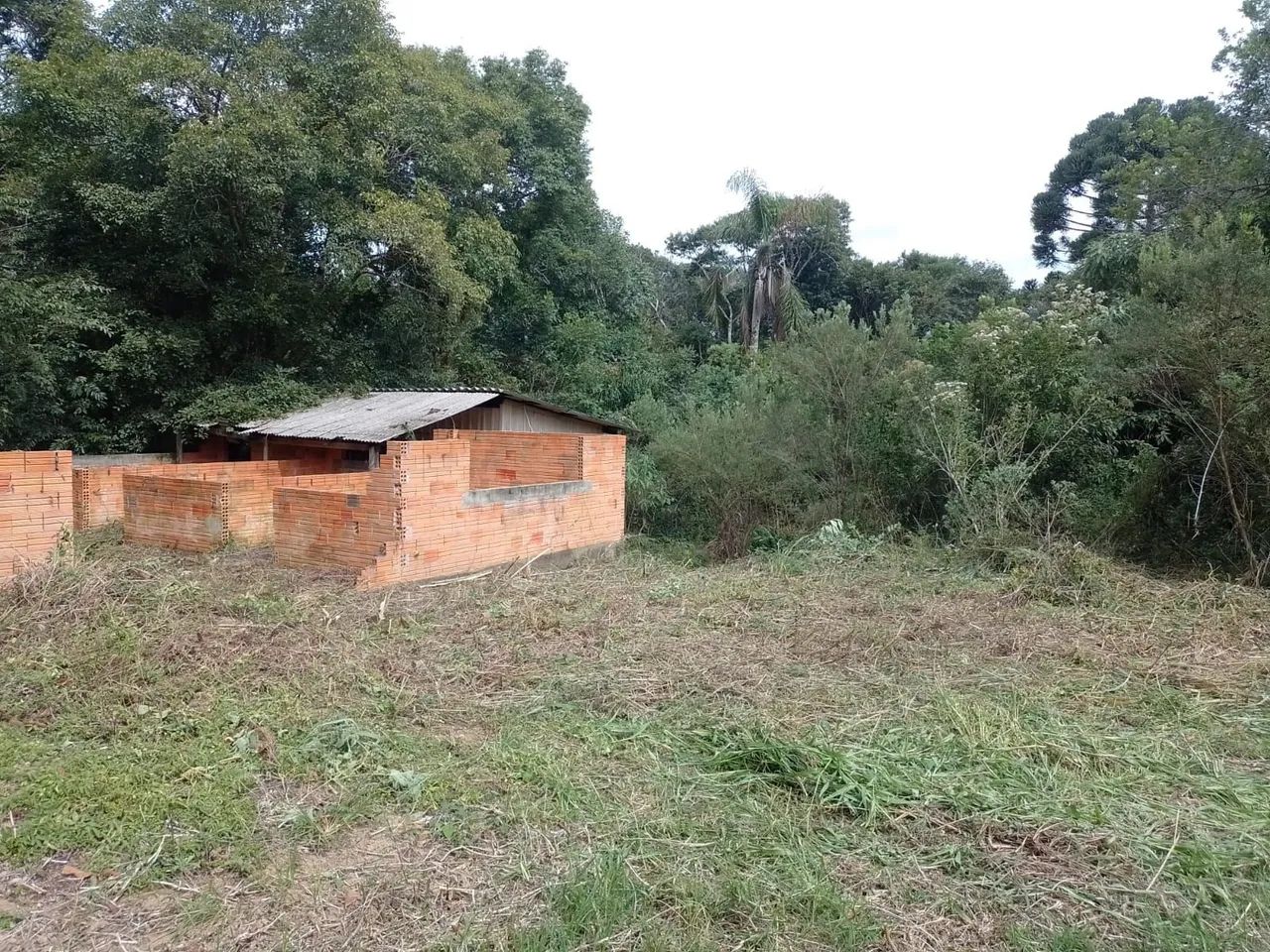 Sítio água azul - Foto 2