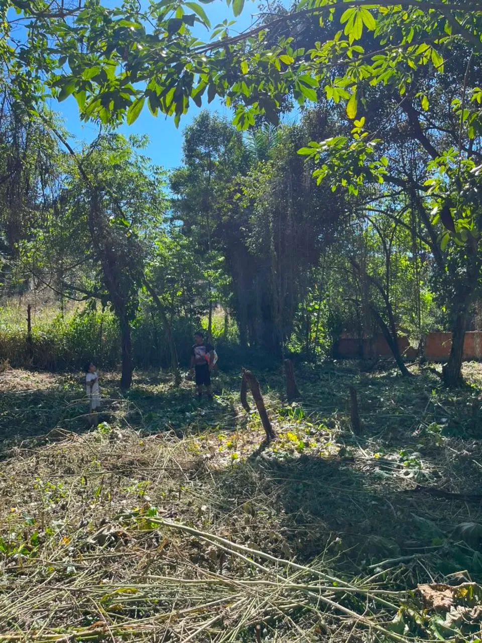 Vendo terreno em jardim primavera  - Foto 5