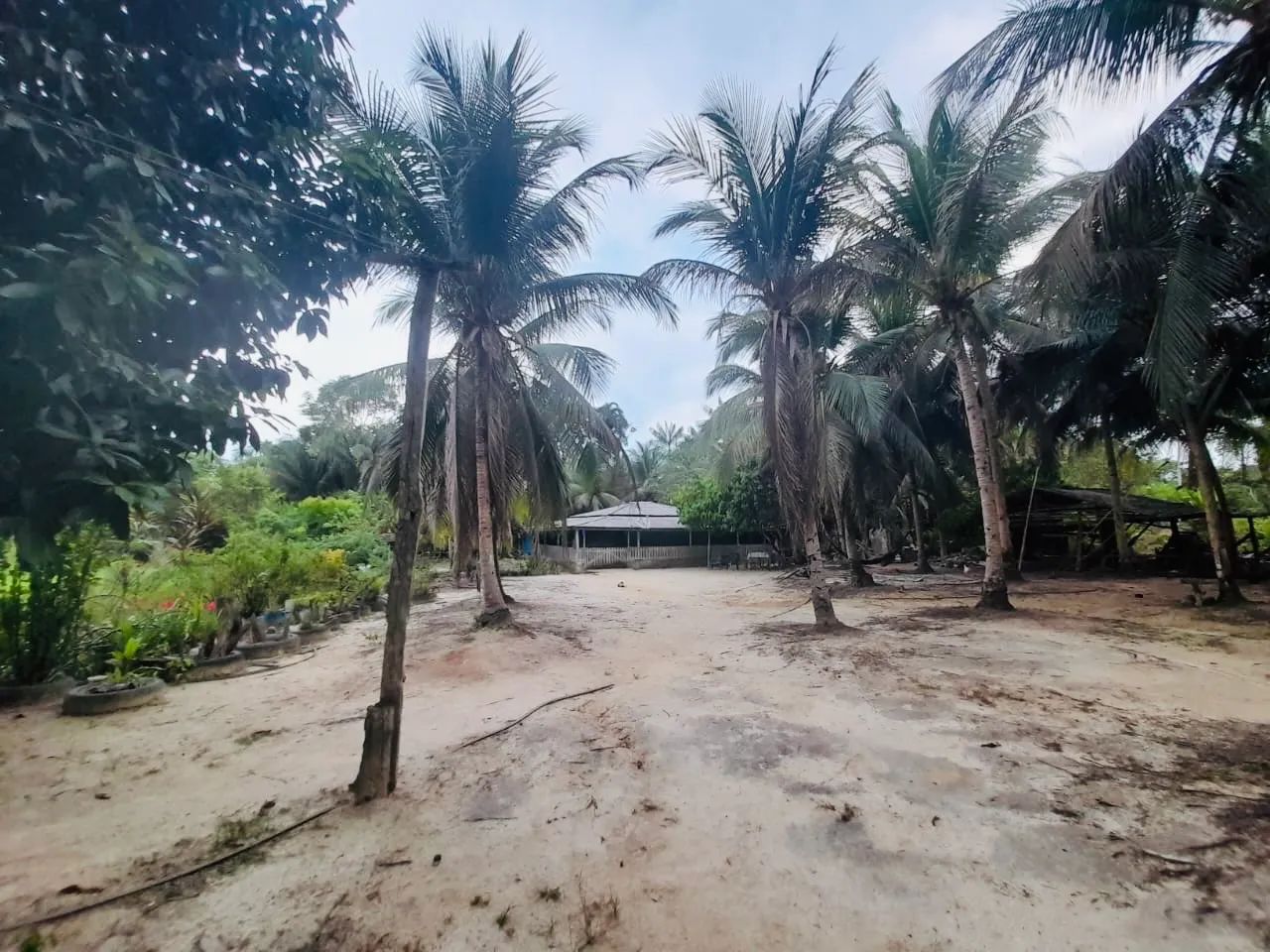 Foto - Manaus - São Geraldo
