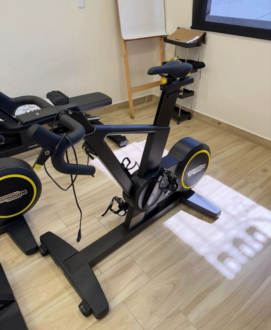 Bike Technogym 