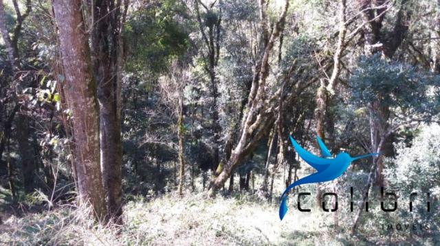 Terreno para formar chácara de lazer em Agudos do Sul - PR - Foto 9