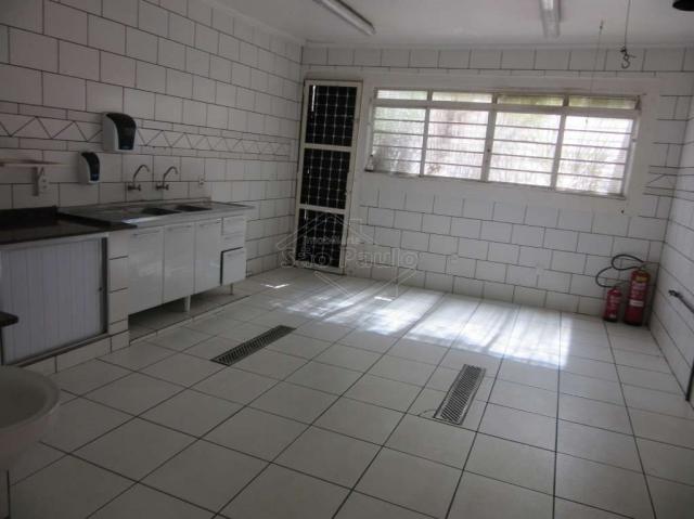 Comercial no Centro em Araraquara cod: 4401 - Foto 9