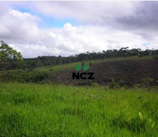 Fazenda à venda, 10960000 m² por r$ 5.000.000,00 - villas de são josé - itacaré/ba - Foto 6