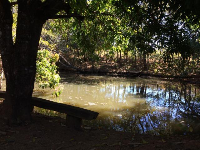Chácara para venda em Formosa-GO - Foto 6