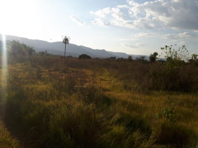 Chácara - Vão do Paranã - Formosa-GO - Foto 6