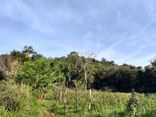 Área com 30 hectares com 600 metros de rio - Foto 6
