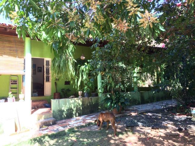 Chácara para venda em Formosa-GO - Foto 9